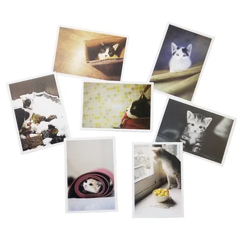 5 упаковок/лот Подарки в виде пленки Cat Открытка Поздравительная открытка Поздравления пригласительный билет Украшения оптом
